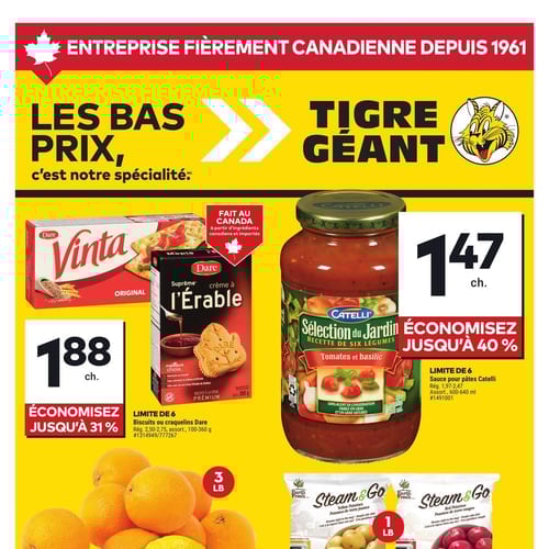  Tigre Géant
