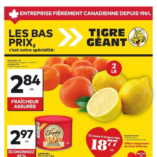  Tigre Géant