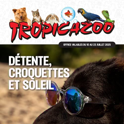  Tropicazoo