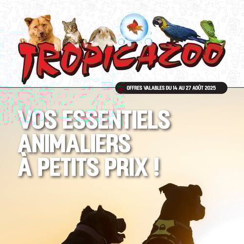  Tropicazoo