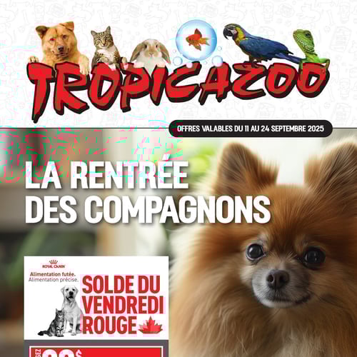 Tropicazoo
